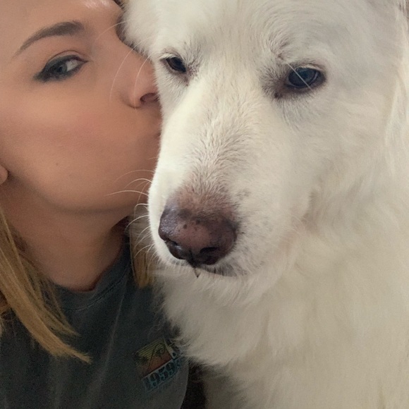 Meet your Posher, Brynn - Picture 2 of 2